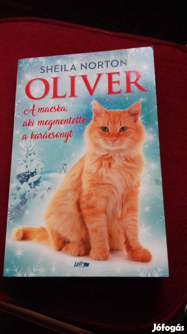 Oliver Sheila Norton a macska aki megmenti a karácsonyt
