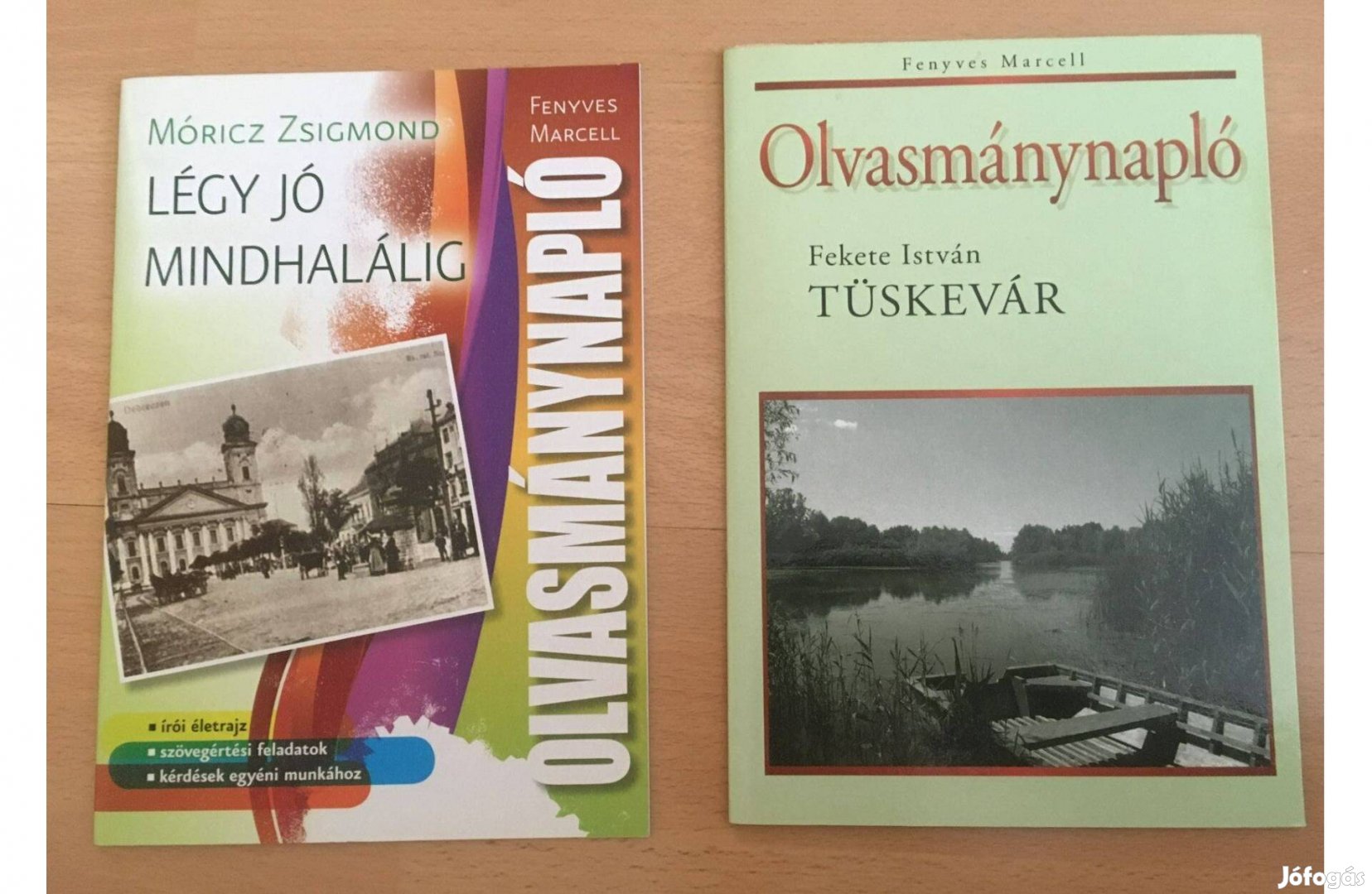 Olvasmánynapló Légy jó mindhalálig , Tüskevár