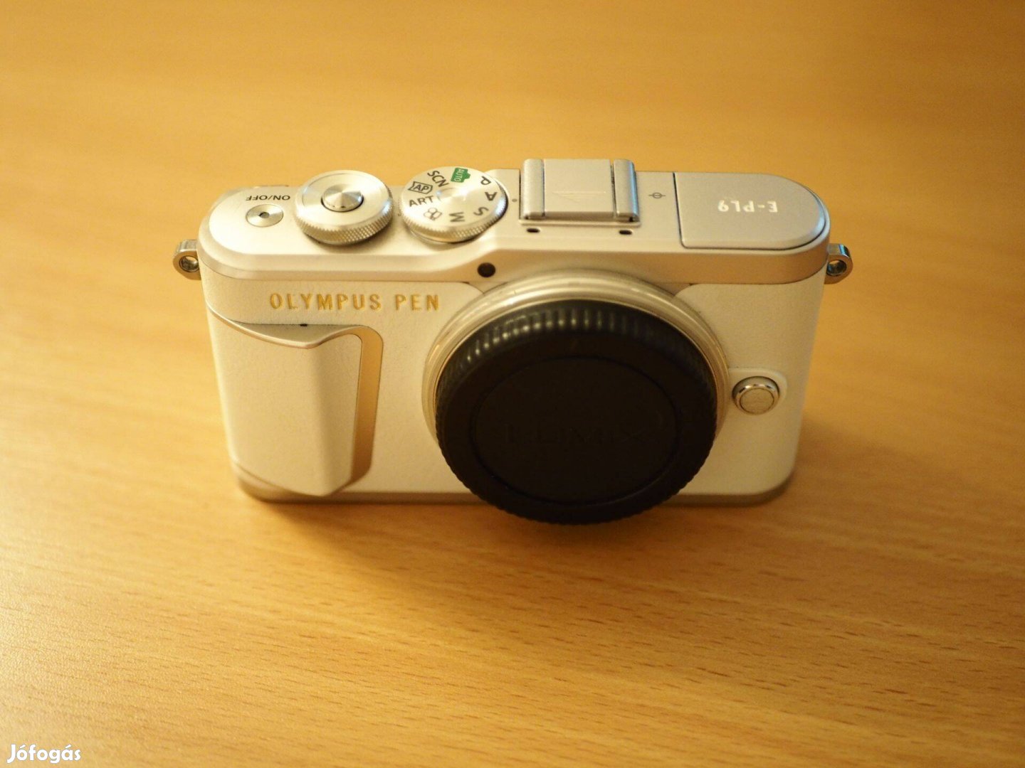 Olympus E-PL9