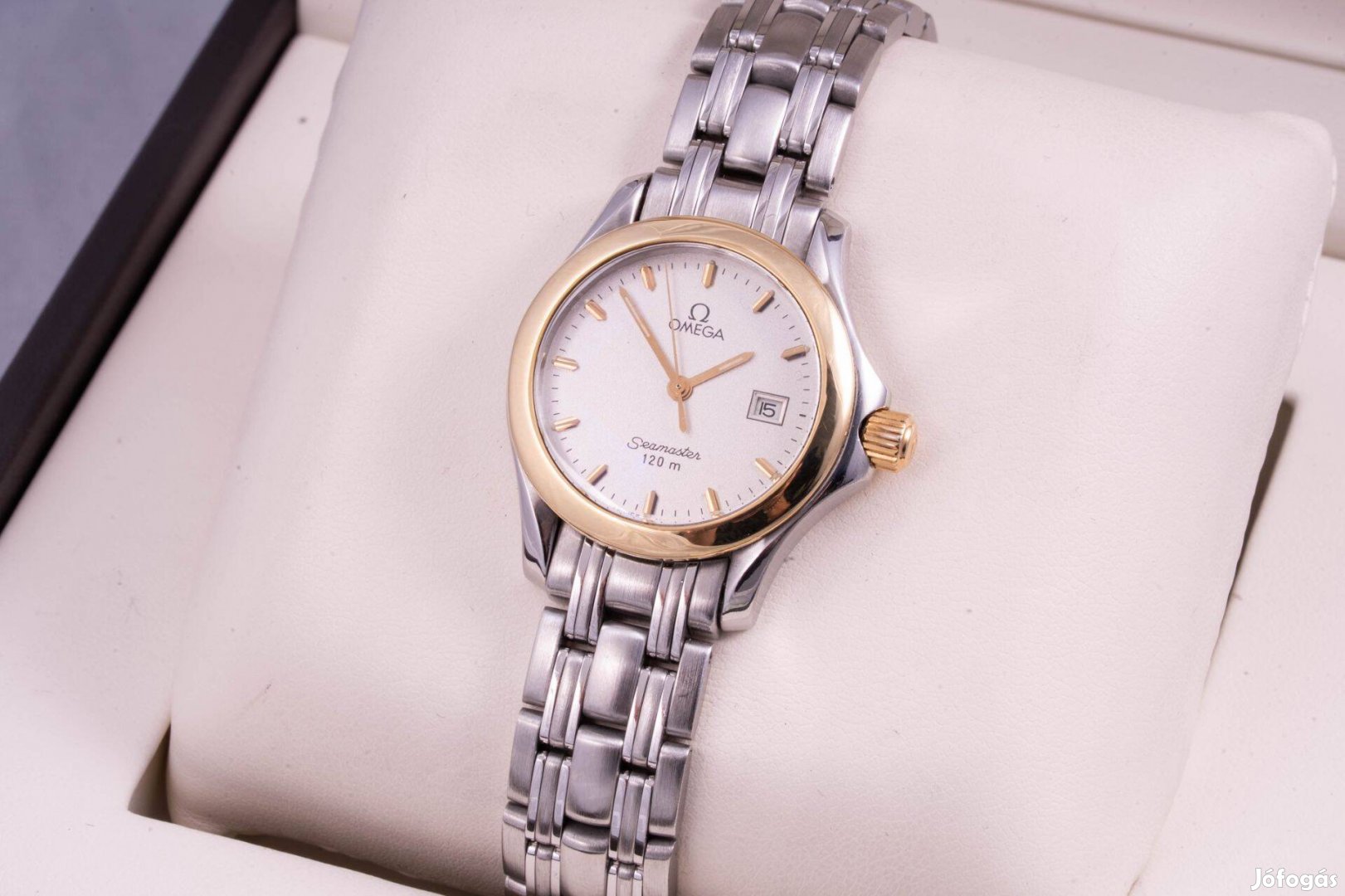 Omega Seamaster 18K Bezel