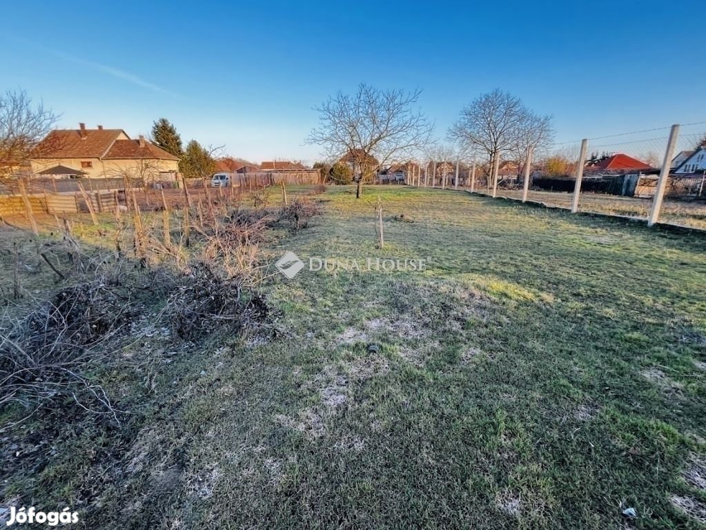 Önálló családi ház nagy telekkel