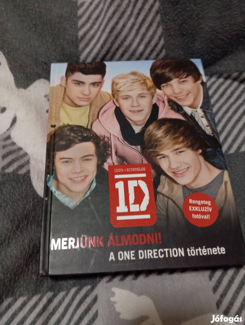 One Direction: Merjünk álmodni!