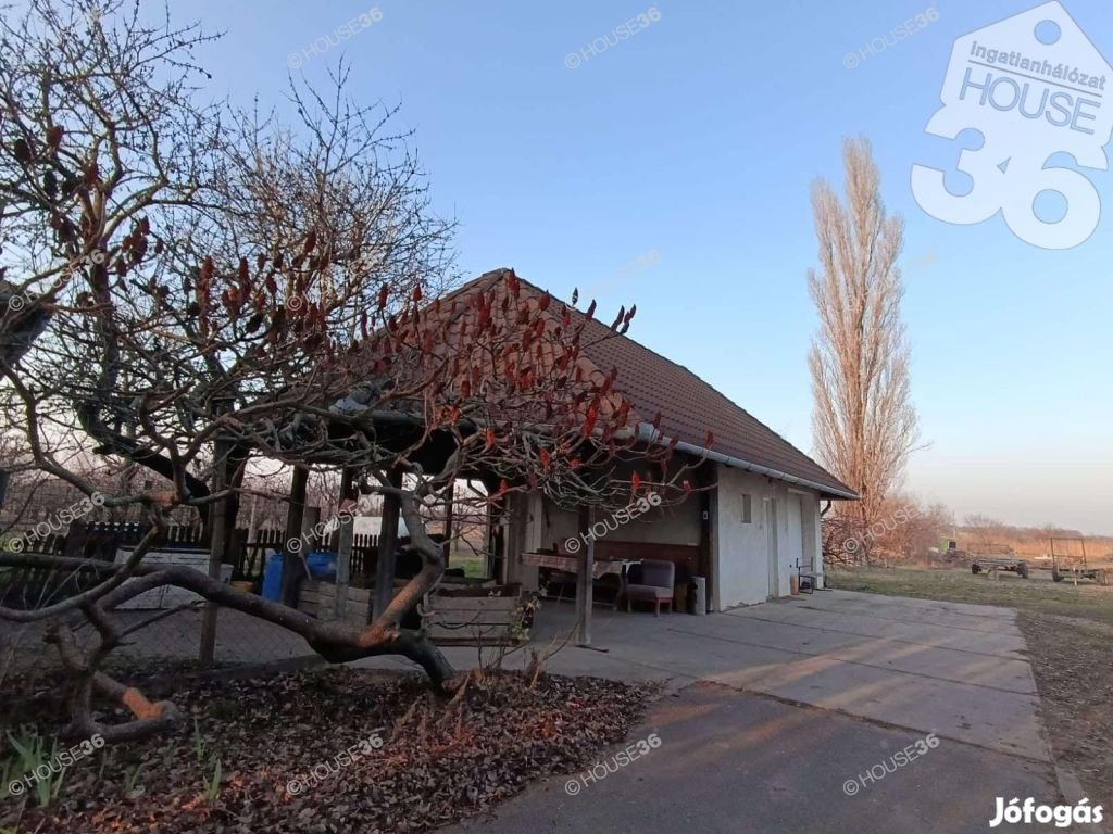 Önellátó Családi Gazdaság Halastóval Lajosmizsén Eladó!