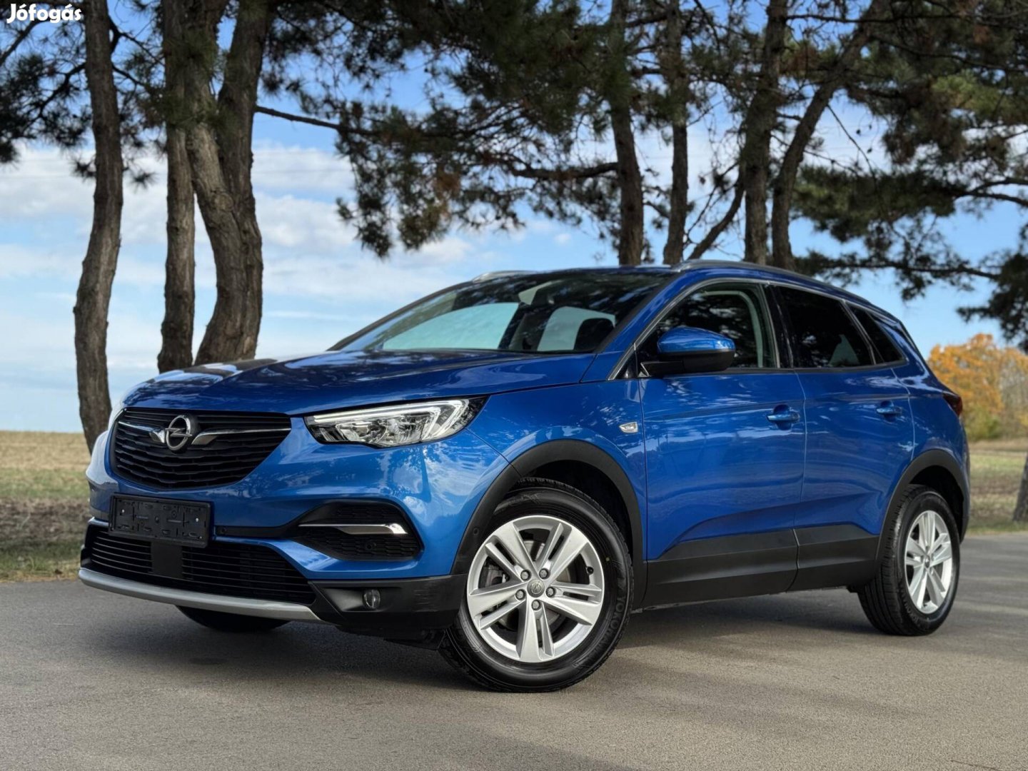 Opel Grandland X 1.5 CDTI Business Edition (Aut...