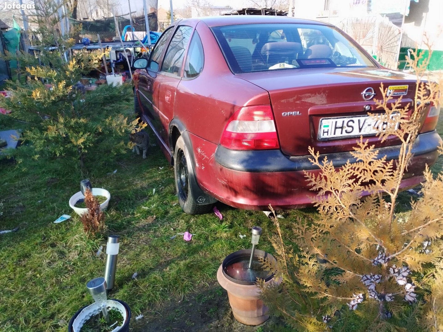 Opel Vectra b