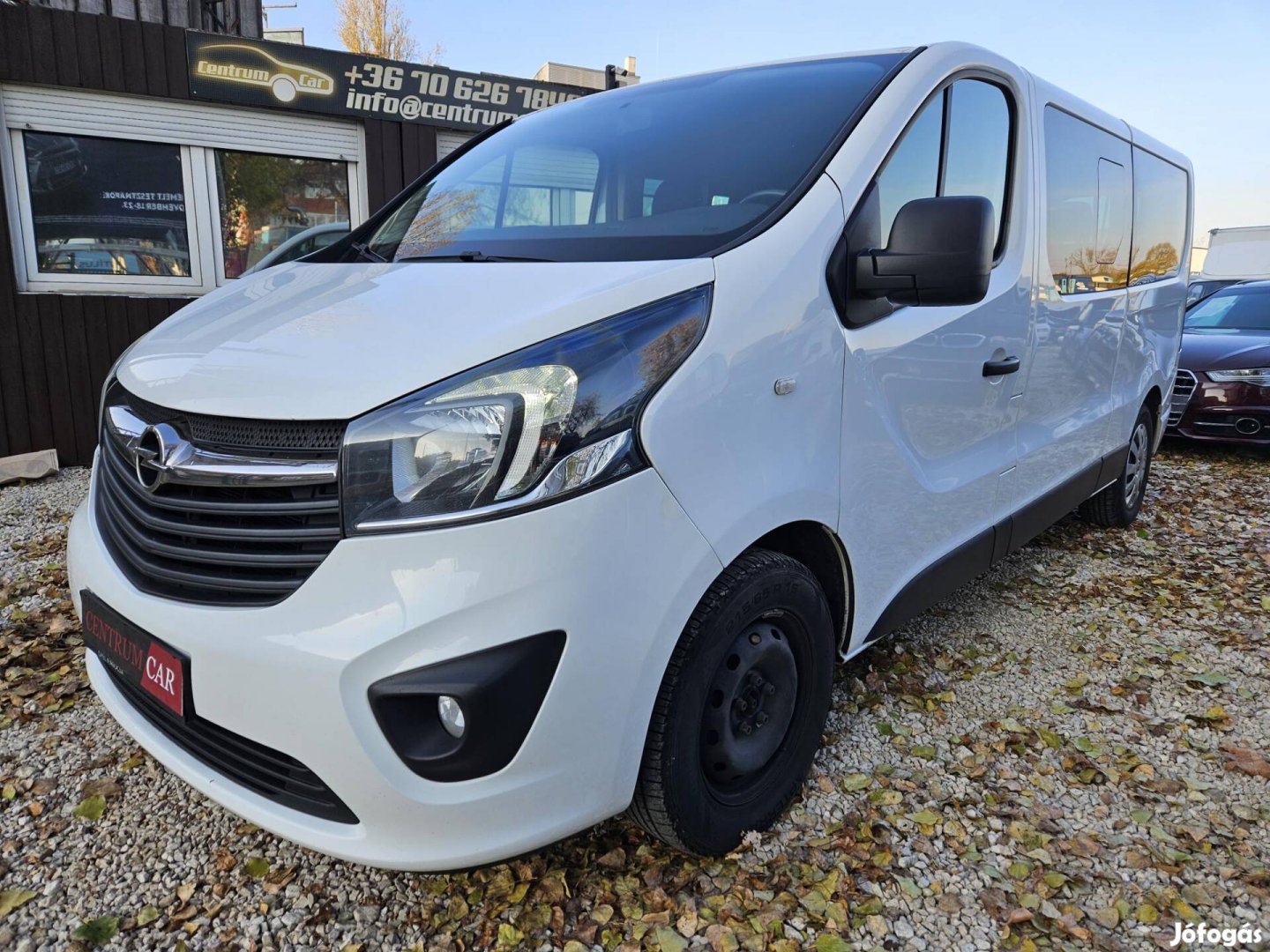 Opel Vivaro 1.6 CDTI L2H1 2.9t Start-Stop Combi...