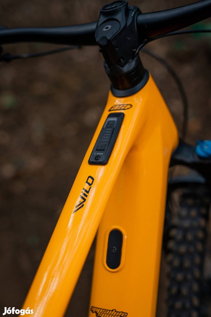 Orbea Wild H10 L