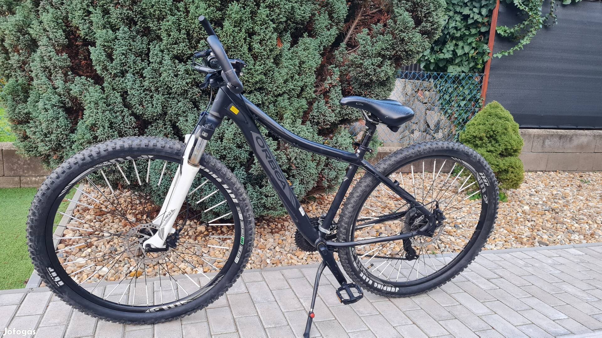 Orbea mtb 29es 