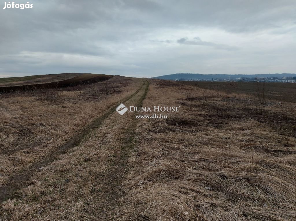 Őrbottyáni eladó 10298 nm-es szántó