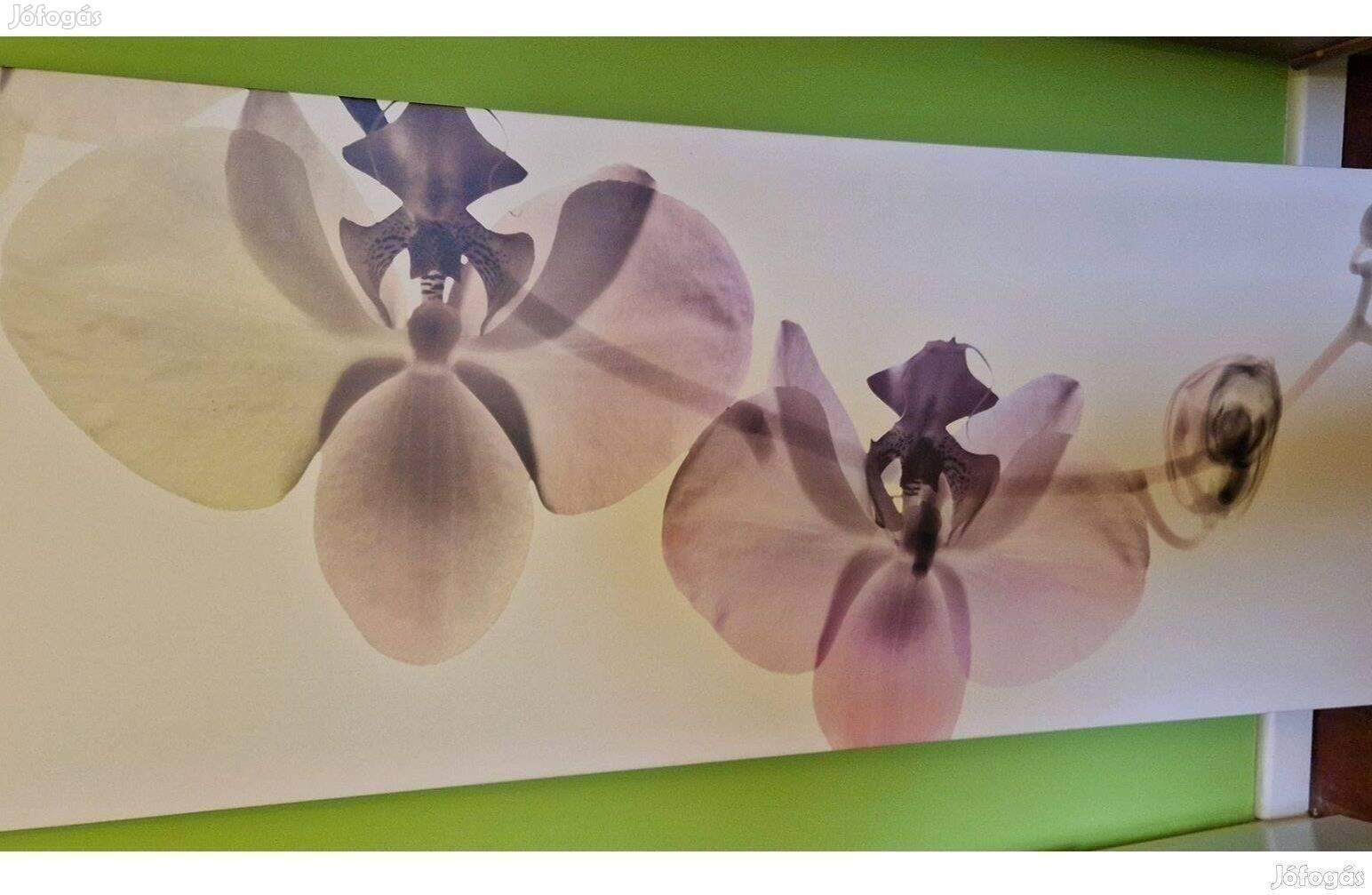 Orchidea - falikép (IKEA)