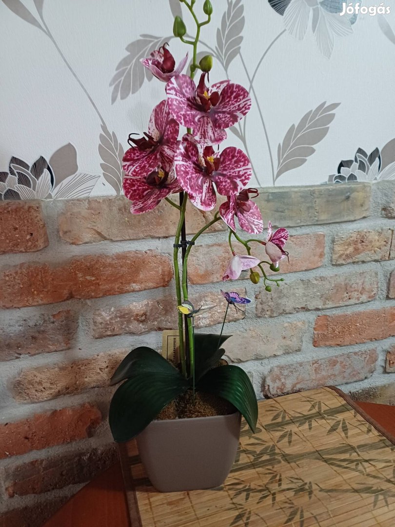 Orchidea virágdísz,örökvirág