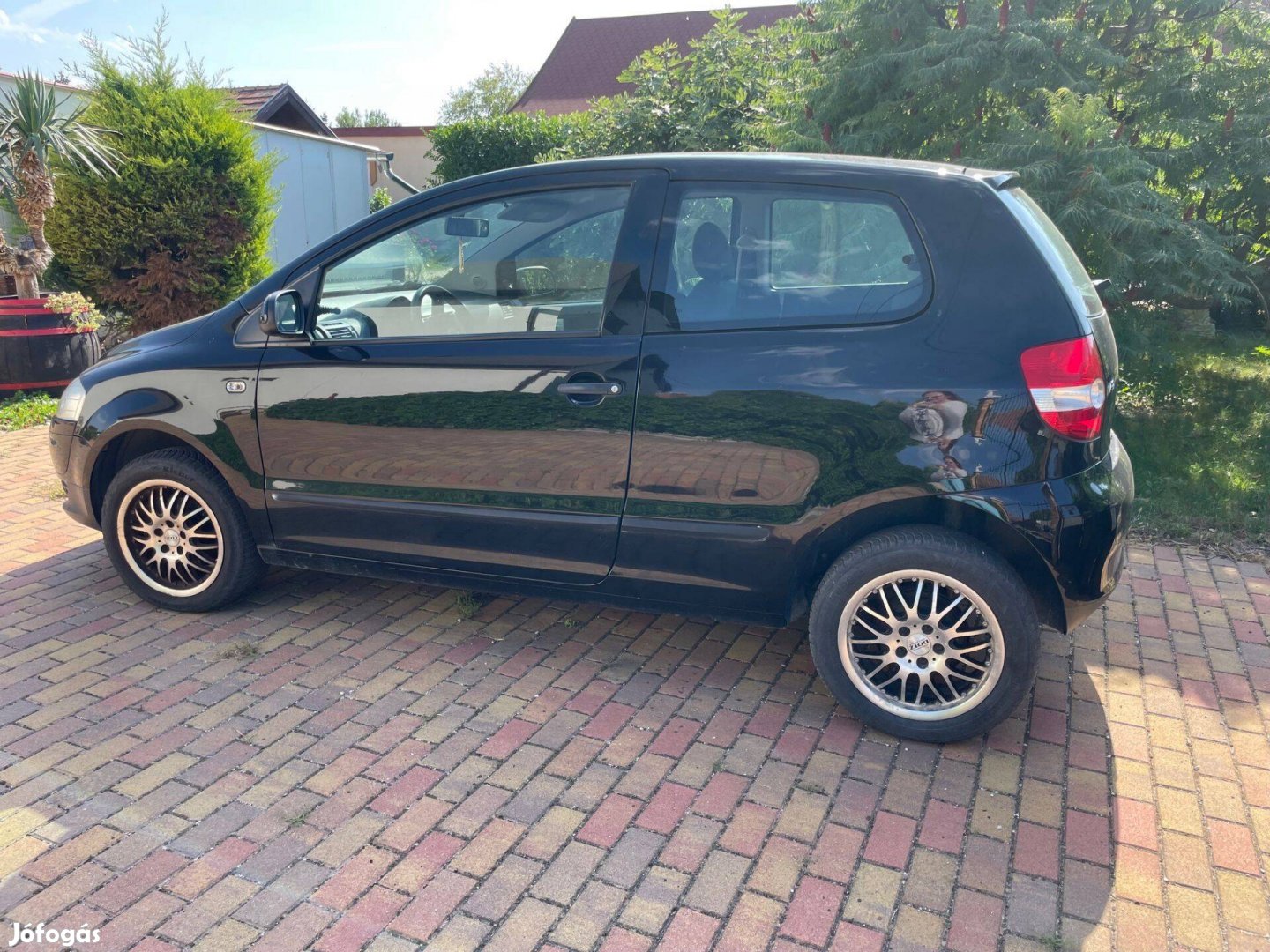 Öreg Fox keresi új gazdáját