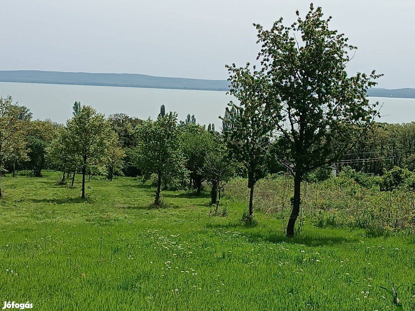 Örök Panorámás telek Balatonszepezden Eladó