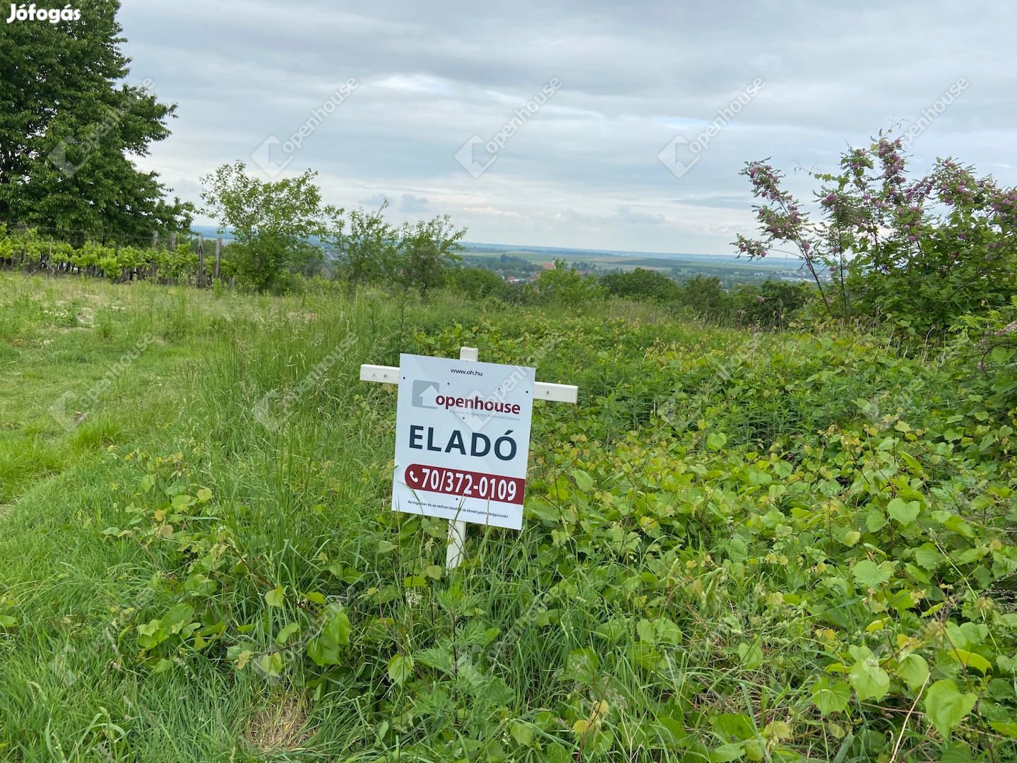 Örök panorámás telek Nyúlon