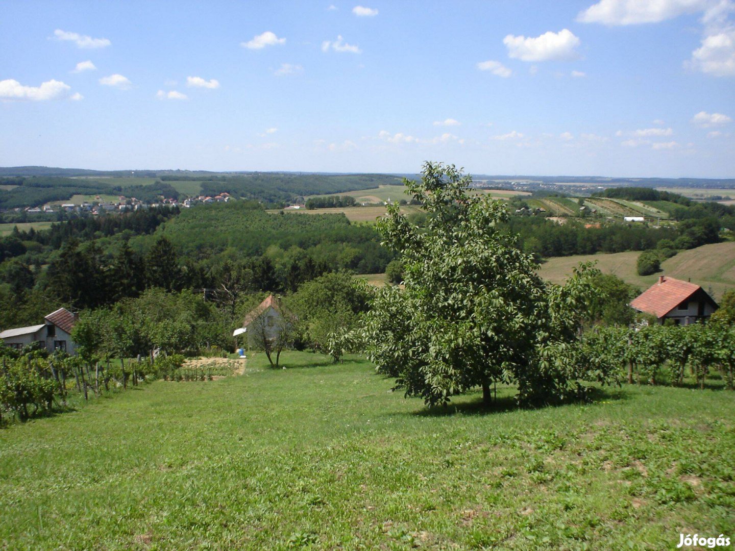 Örökpanoráma a zalai dombokra!