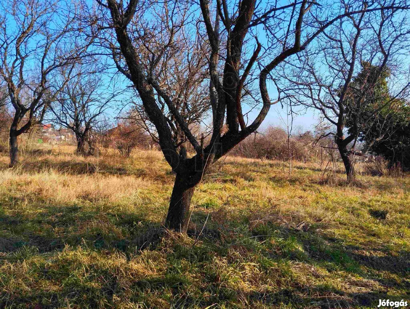 Örökpanorámás, Római útról nyíló telek eladó Alsóörsön