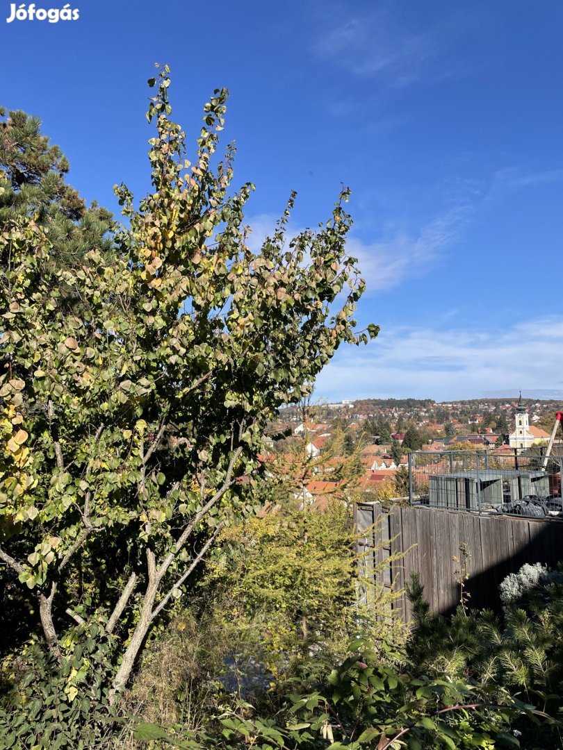 Örökpanorámás lakóövezeti telek Budakeszin - befektetőknek és magánvás