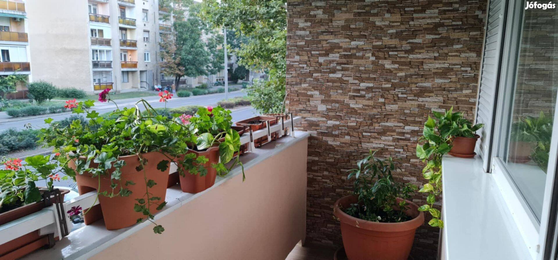 Orosházi lakás kiadó