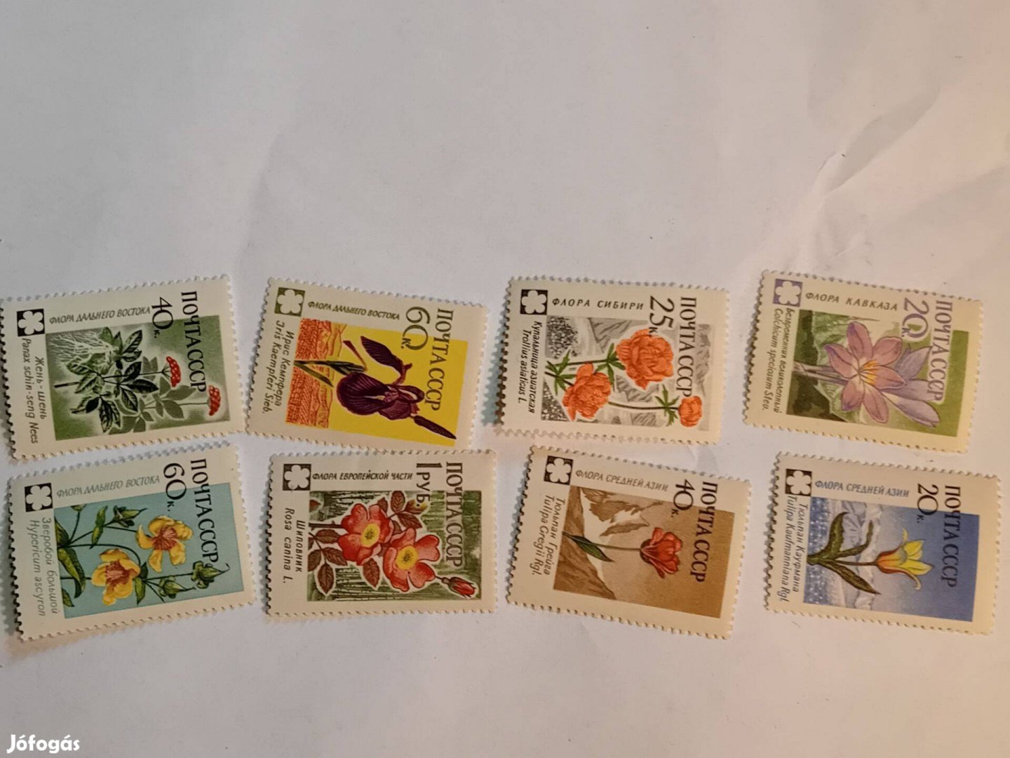 Orosz szovjet bélyeg virágok 1960 Mnh