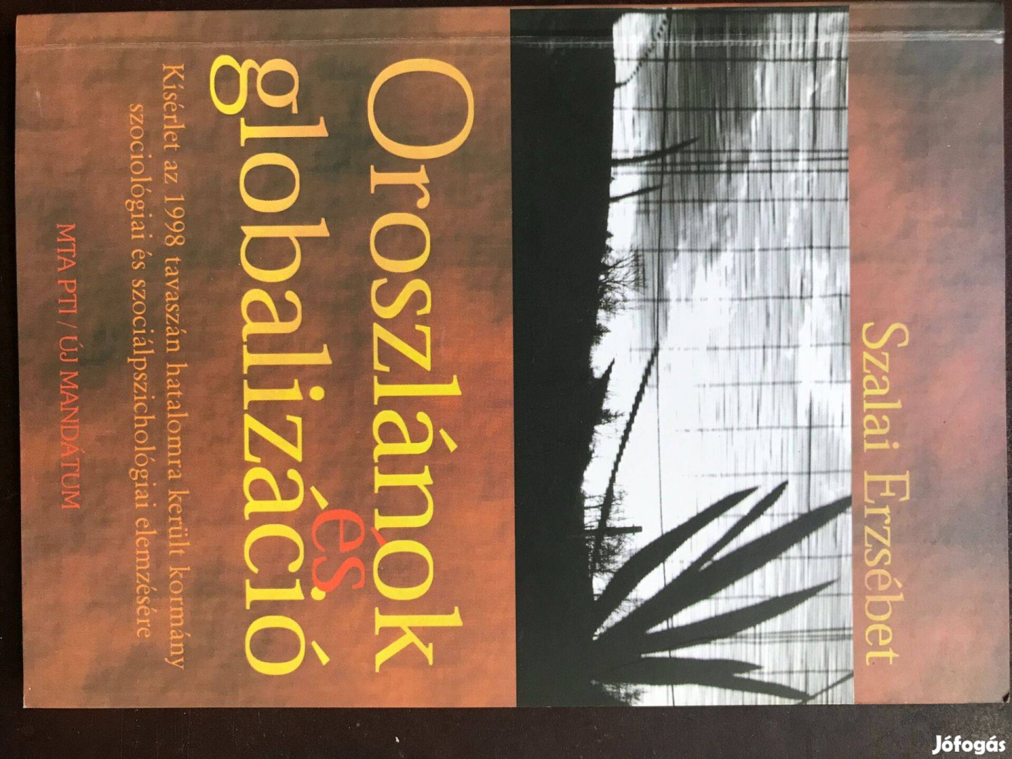 Oroszlánok globalizáció - Szalai Erzsébet