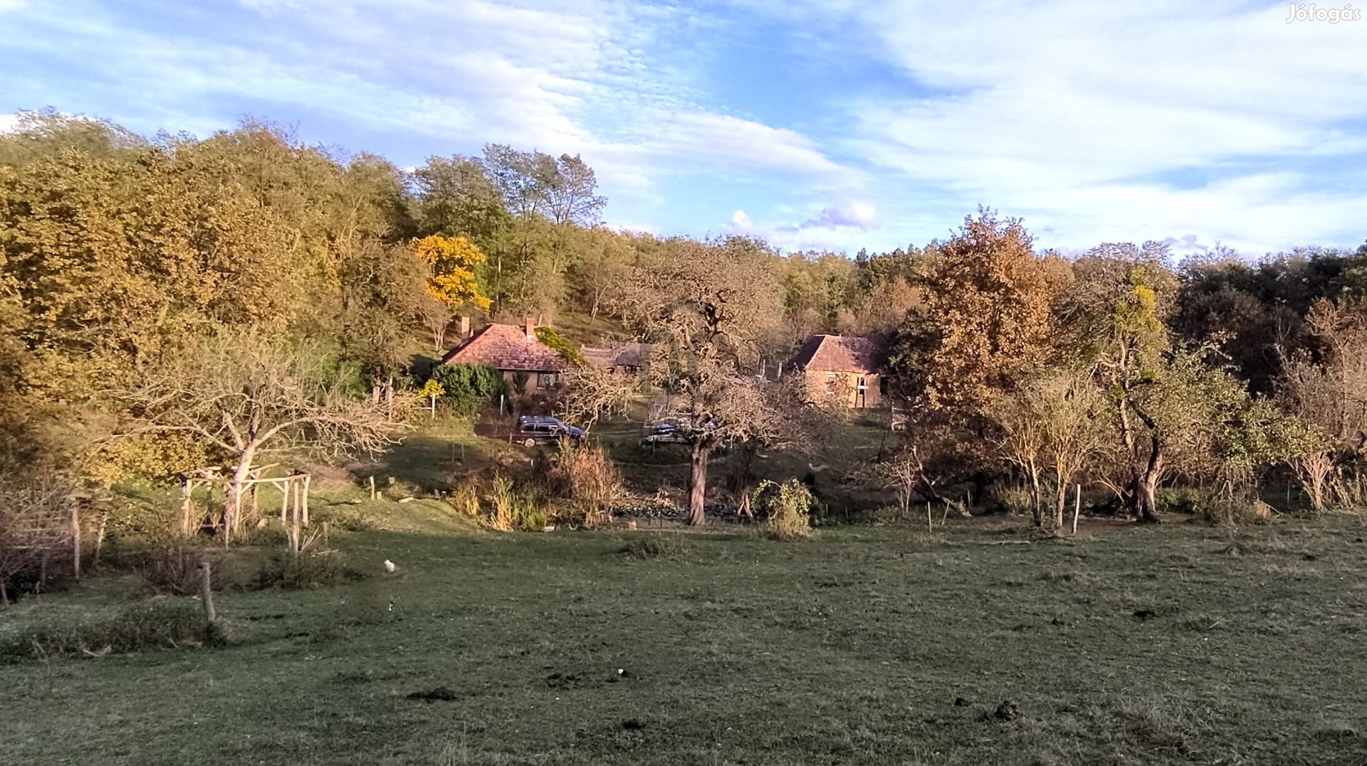 Őrségi tanya az erdő közepén