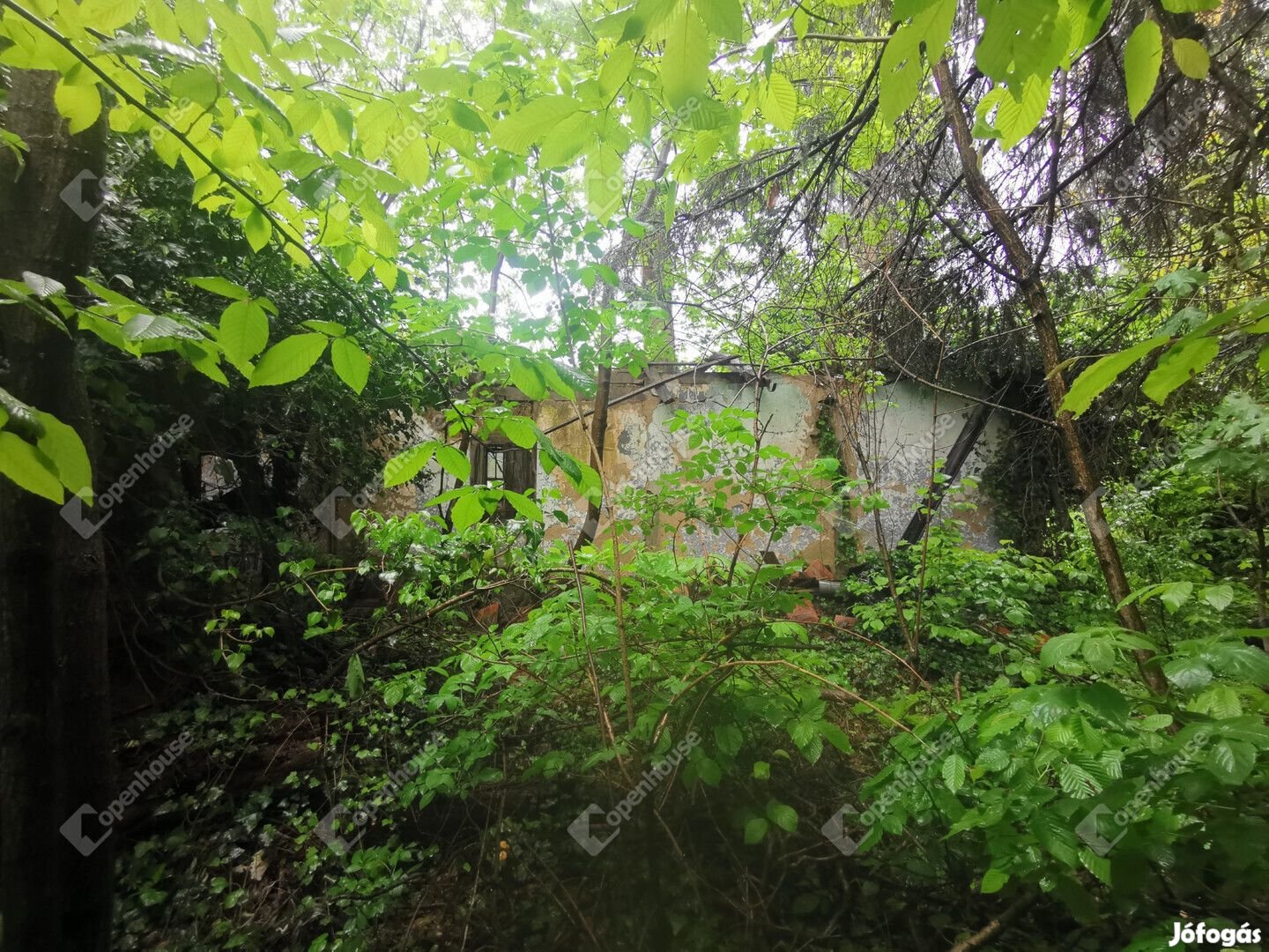 Őrtilos-Szentmihályhegyen örök panorámás zártkerti ingatlan