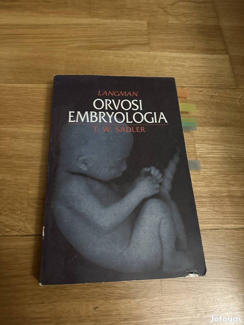 Orvosi  embryologia