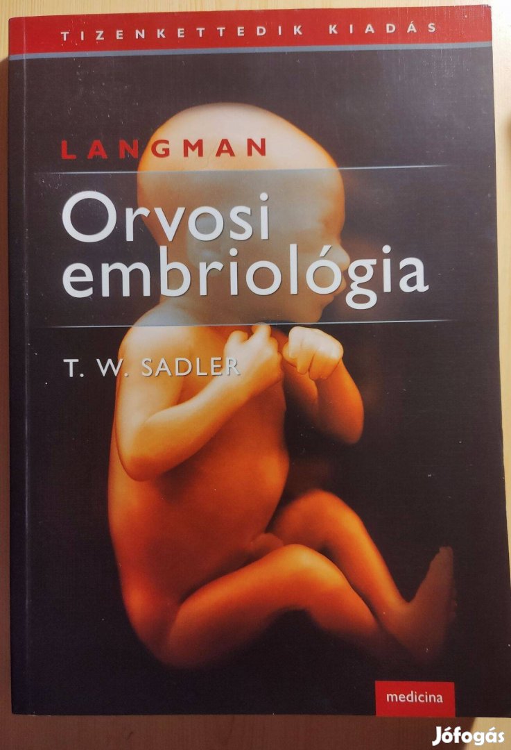 Orvosi embriológia - Langman