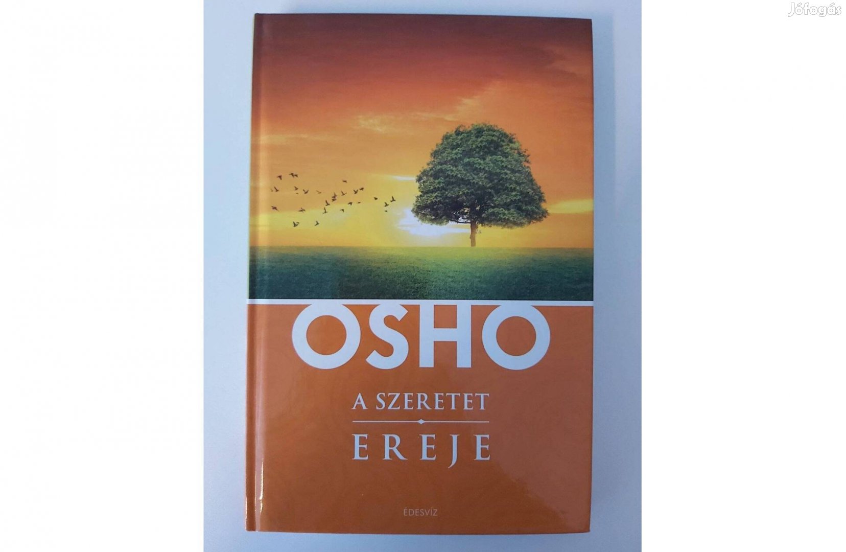 Osho: A szeretet ereje