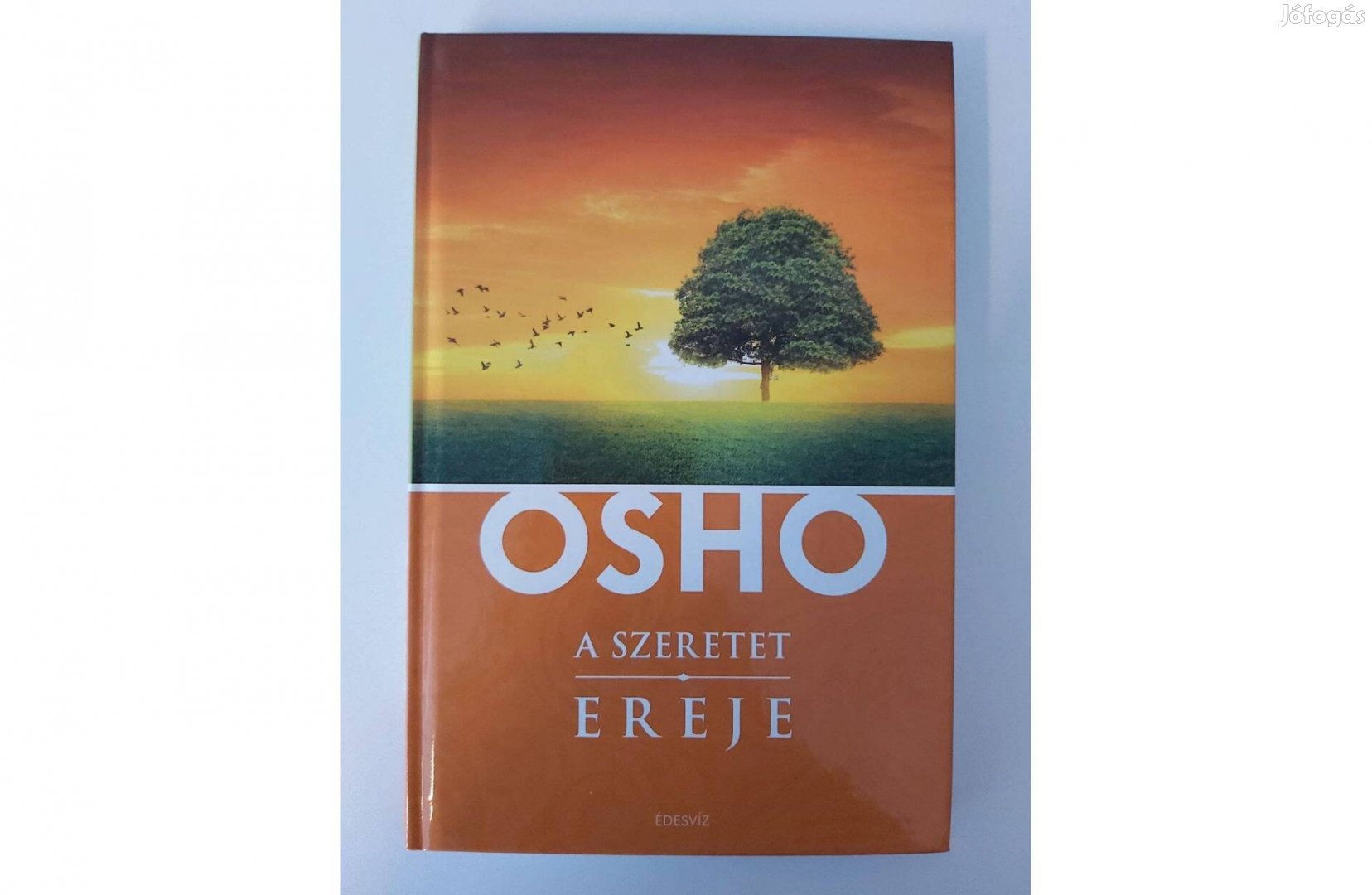 Osho: A szeretet ereje