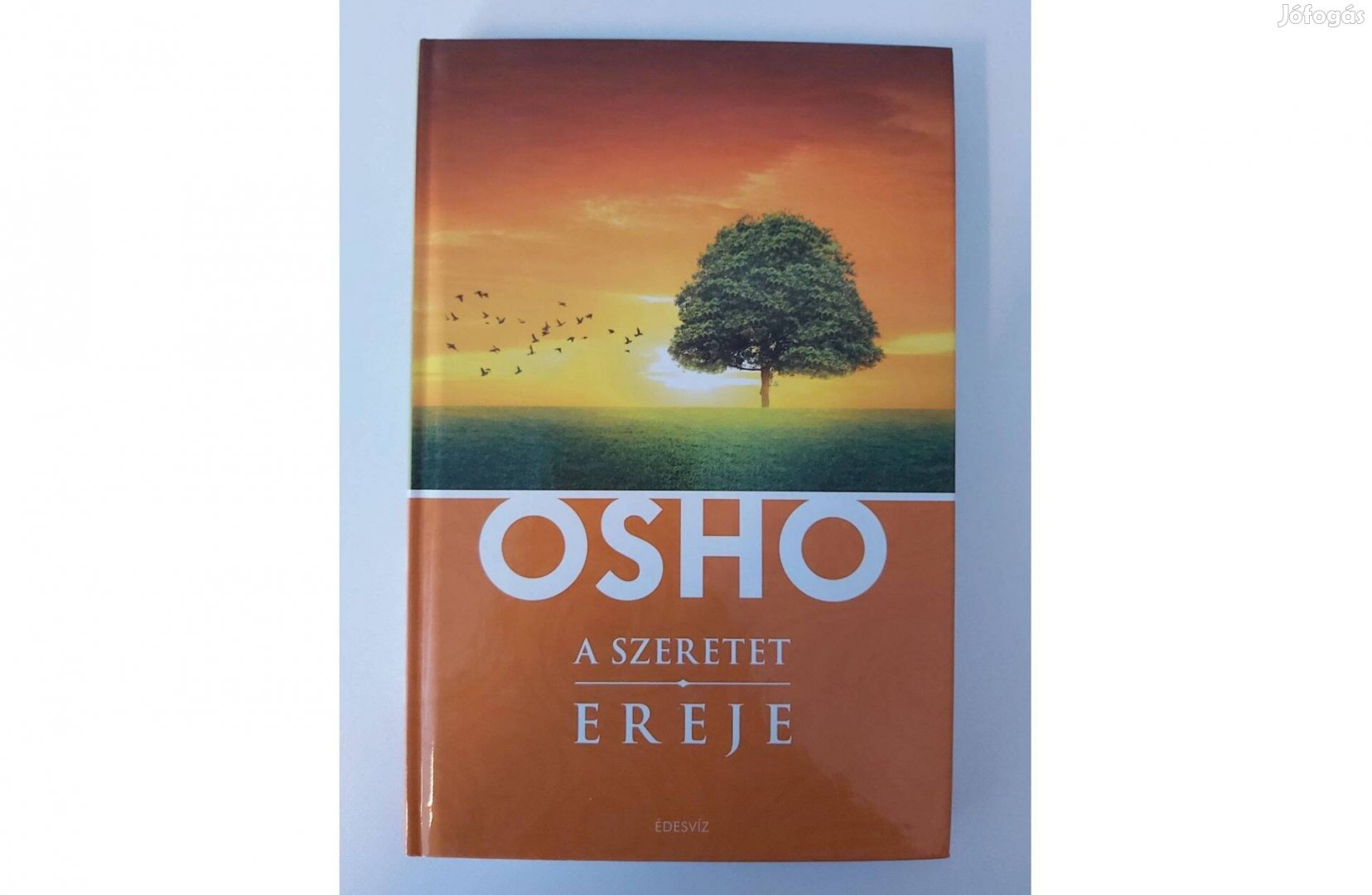 Osho: A szeretet ereje