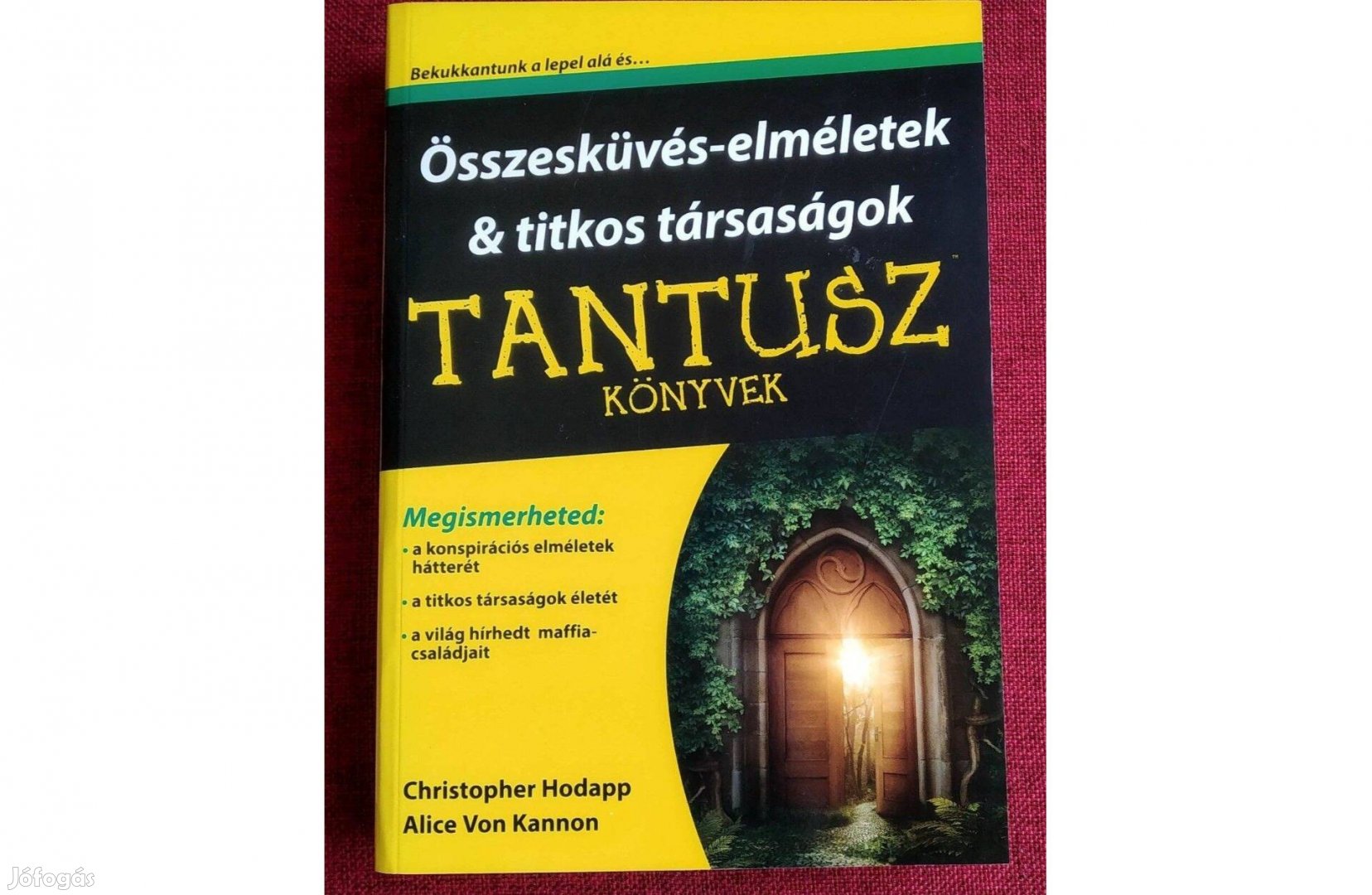 Összeesküvés-elméletek & titkos társaságok Christopher Hodapp Alice Vo