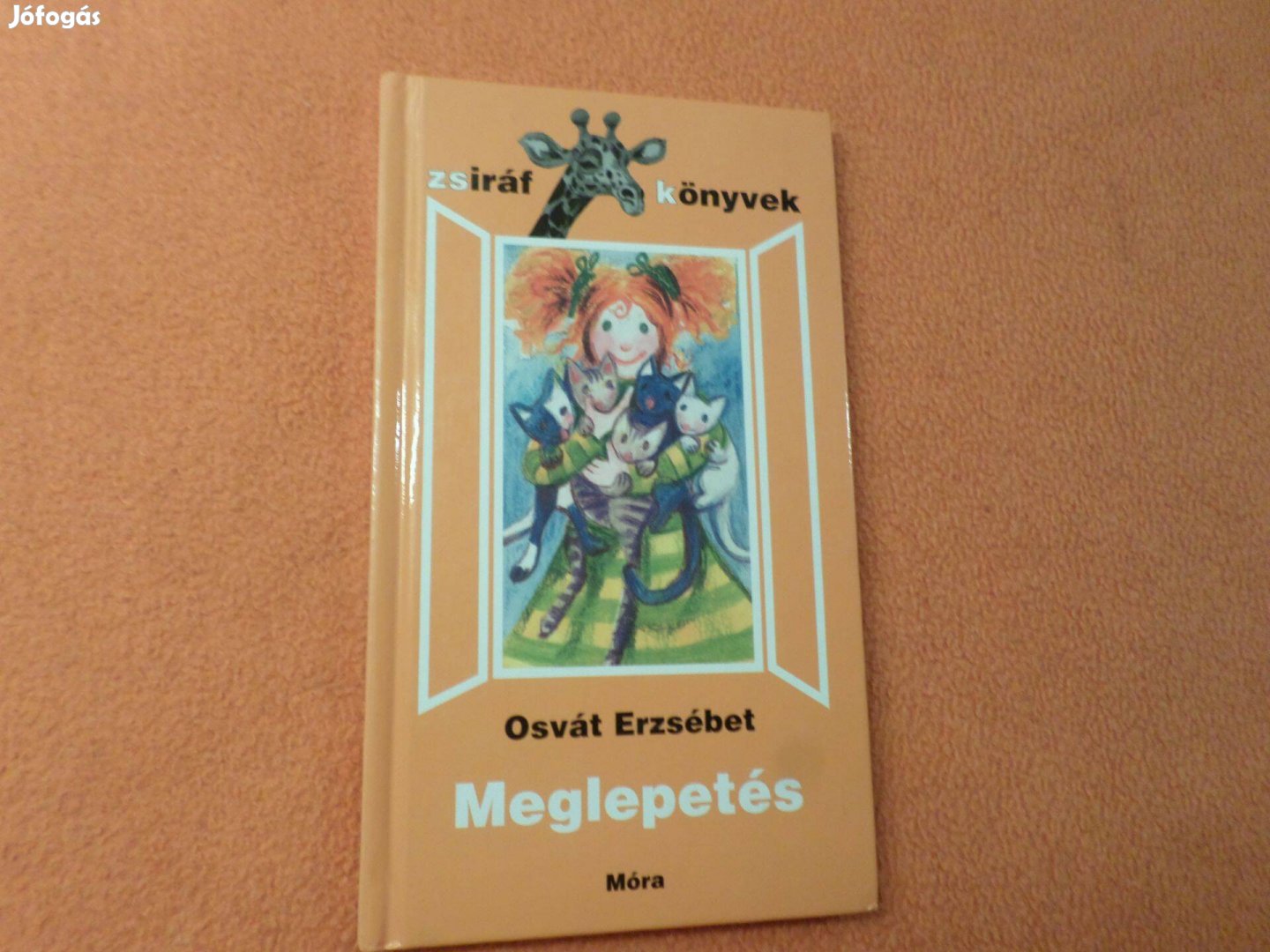 Osvát Erzsébet Meglepetés Szegedi Katalin rajzaival., Gyermekkönyv