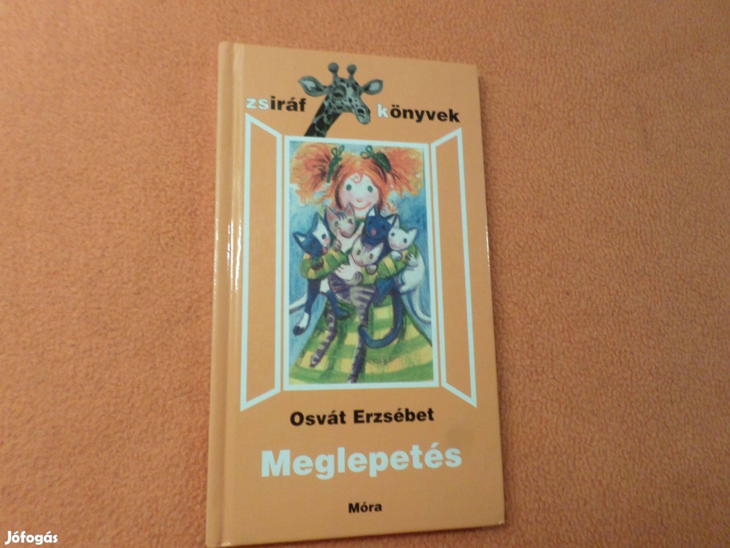 Osvát Erzsébet Szegedi Katalin rajzaival Meglepetés Gyermekkönyv