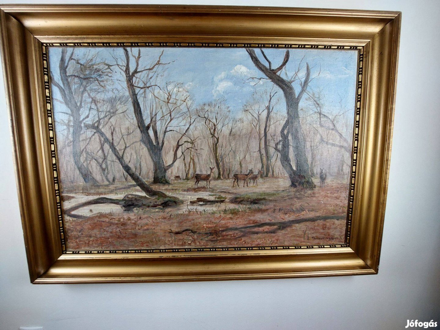 Őszi erdőrészlet őzekkel T.77