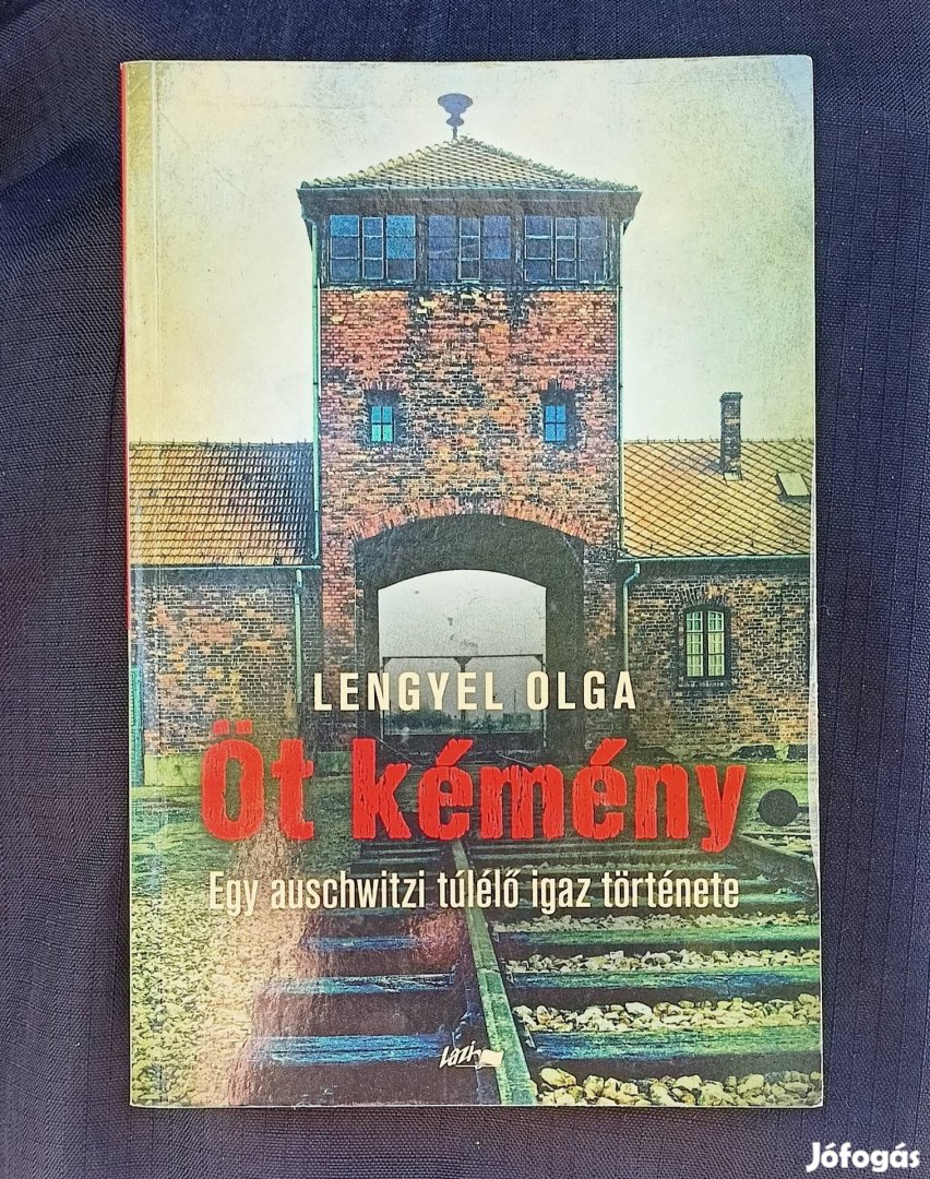 Öt kémény Lengyel Olga