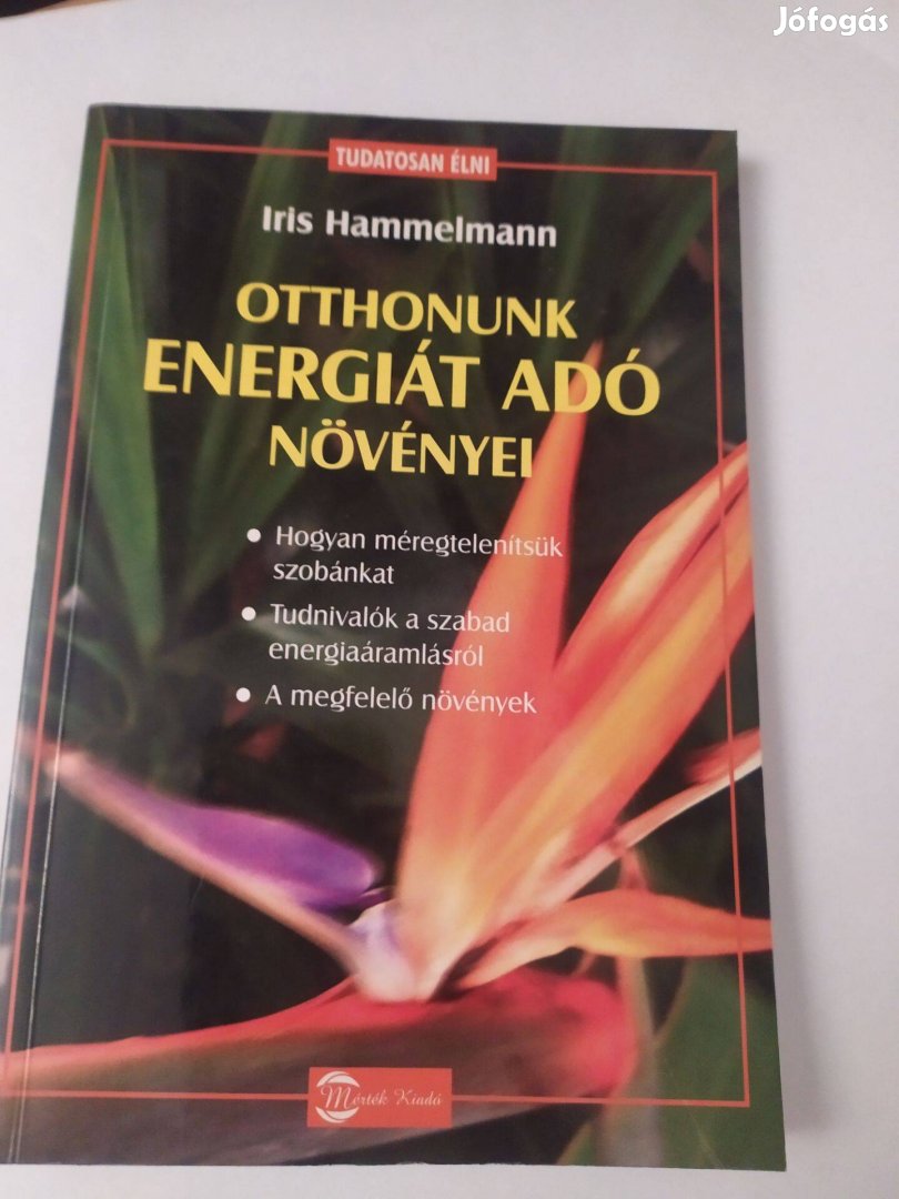 Otthonunk energiát adó növényei