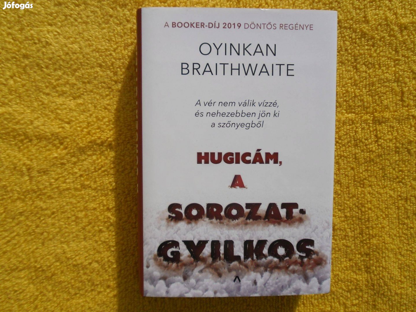 Oyinkan Braithwaite: Hugicám, a sorozatgyilkos