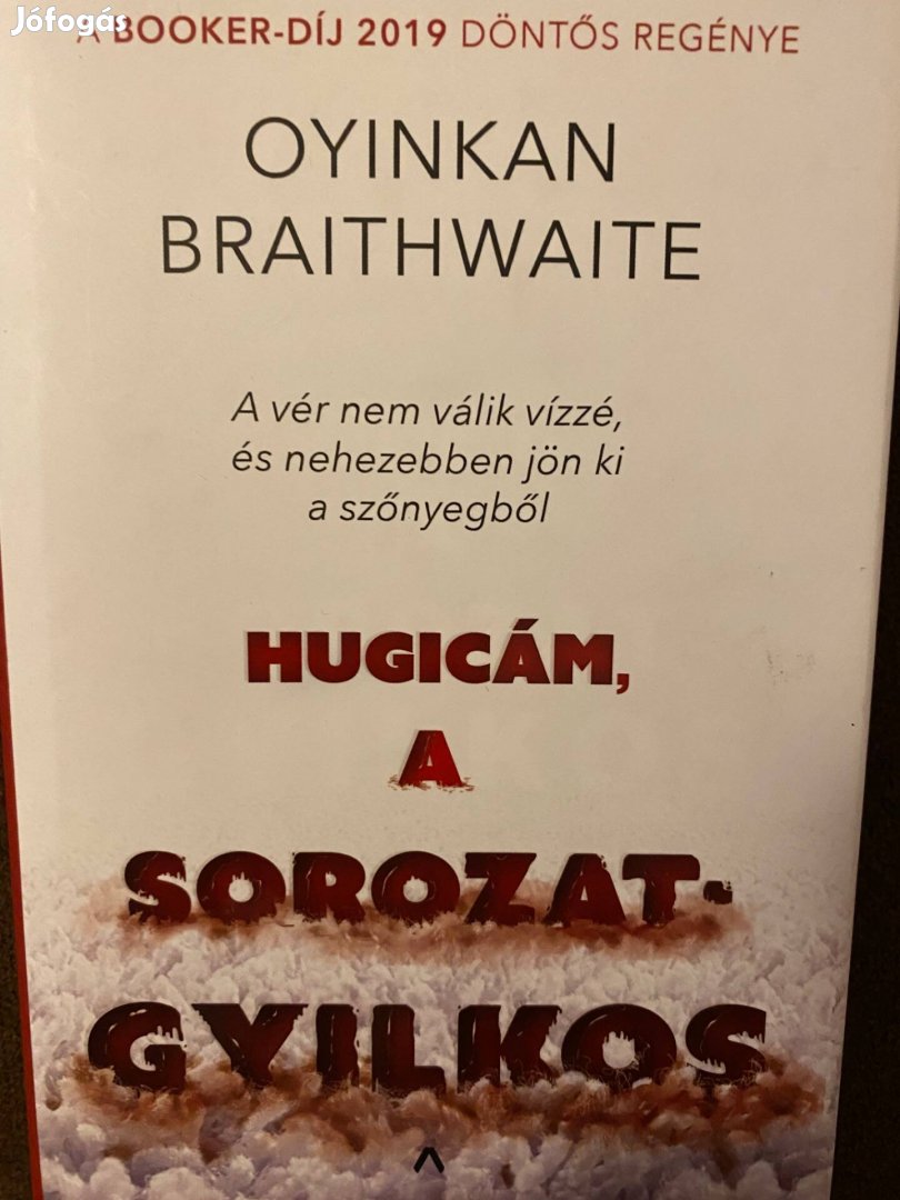 Oyinkan Braithwaite: Hugicám a sorozatgyilkos