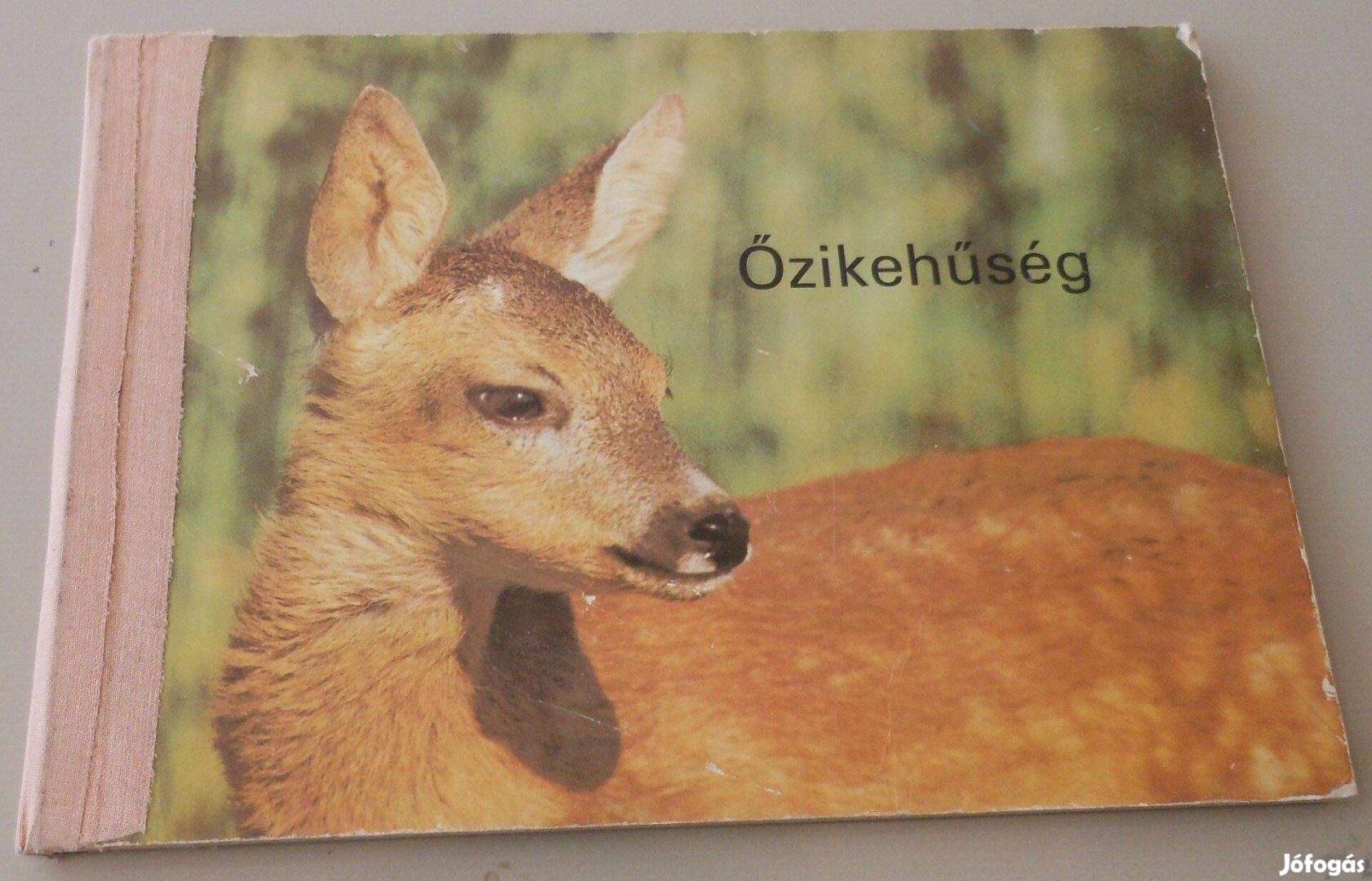 Őzikehűség 1982