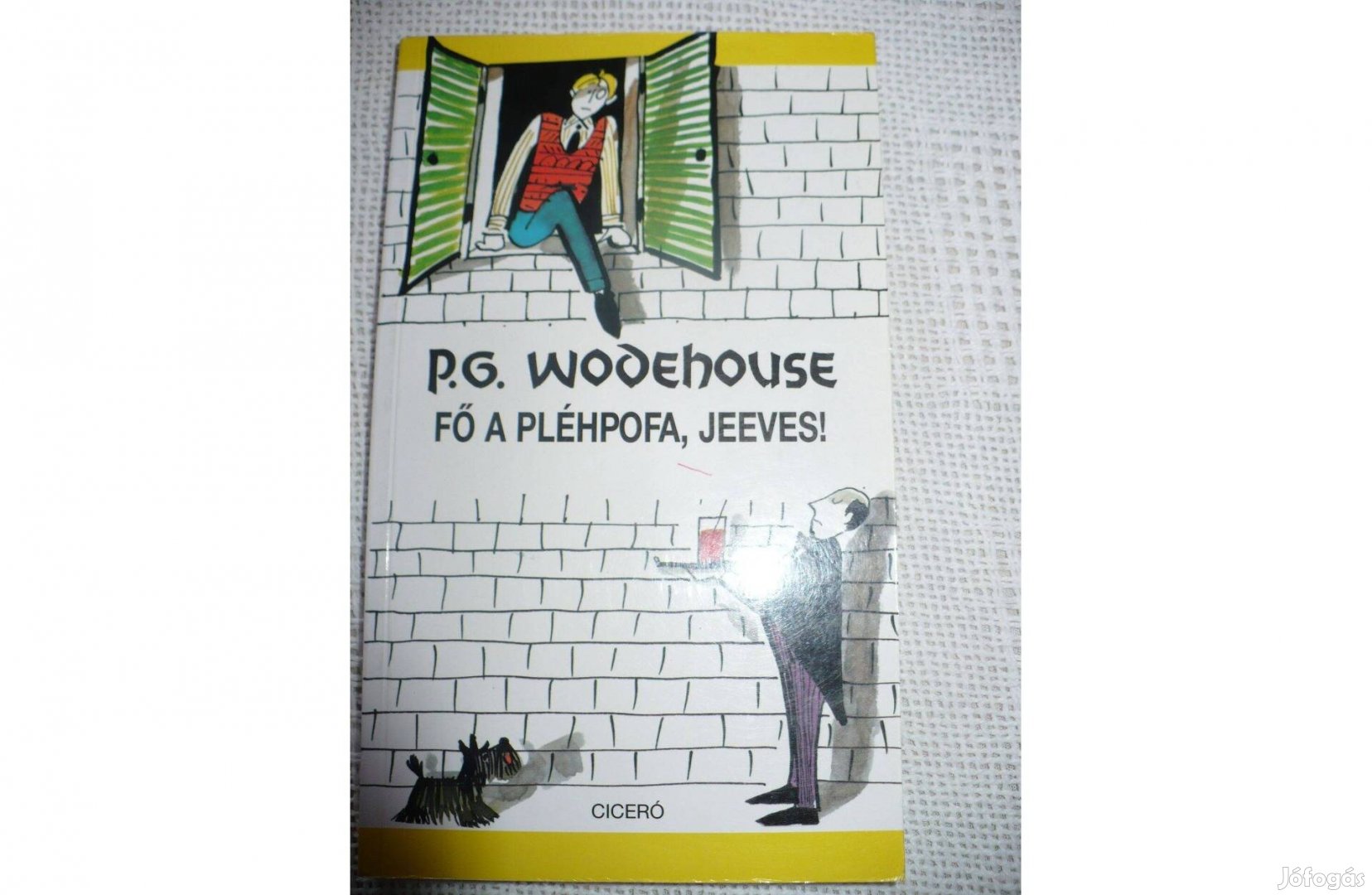 P.G. Wodehouse: Fő a pléhpofa, jeeves