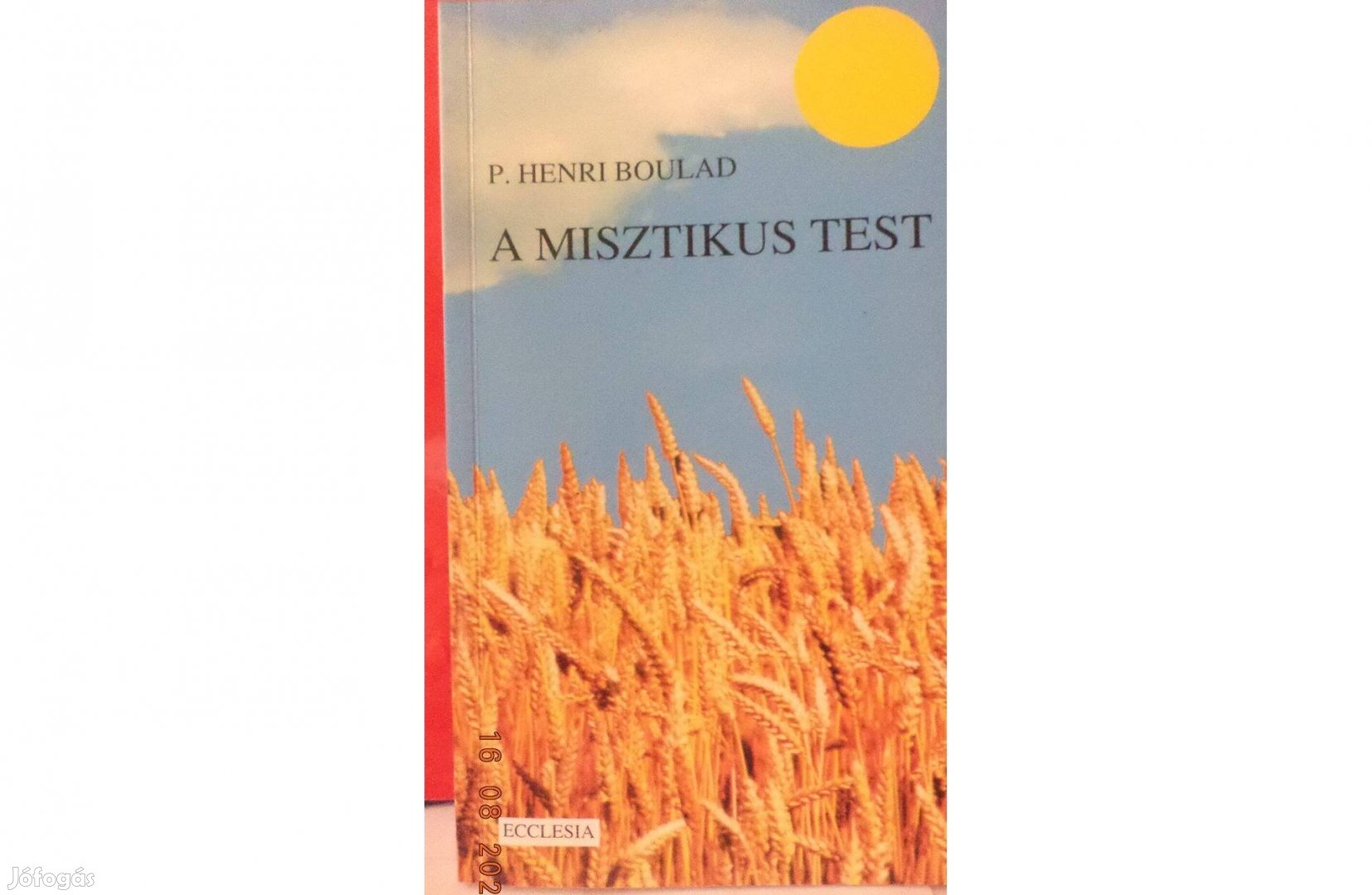 P. Henri Boulad: A misztikus test