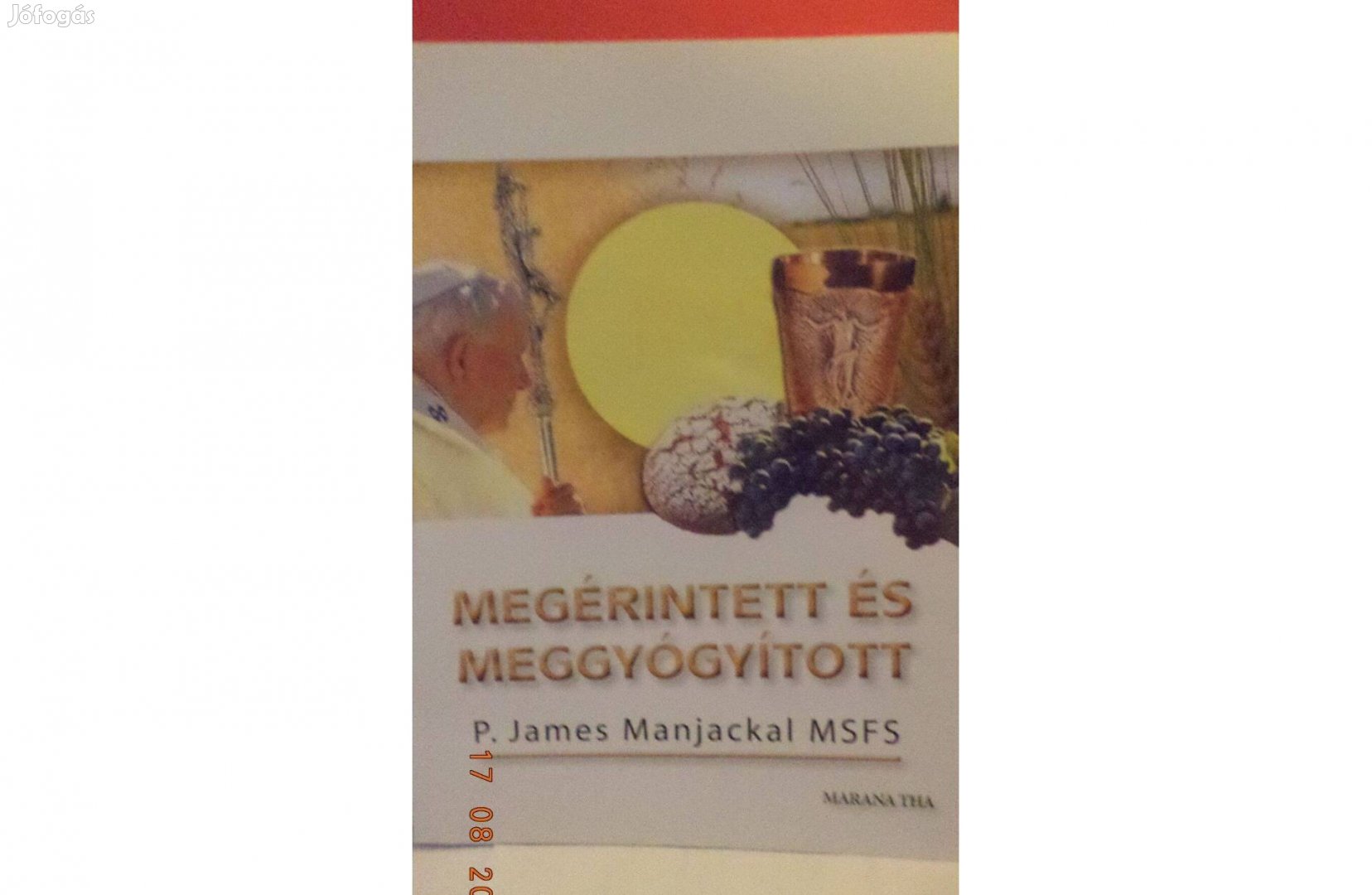 P. James Manjackal MSFS: Megérintett és meggyógyított