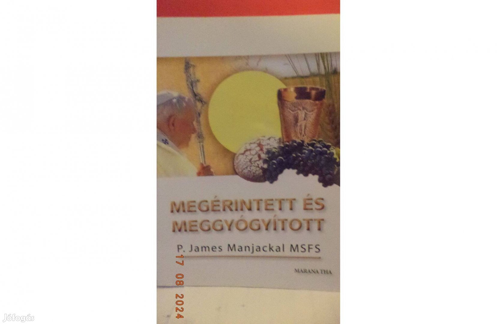 P. James Manjackal MSF: Megérintett és meggyógyított