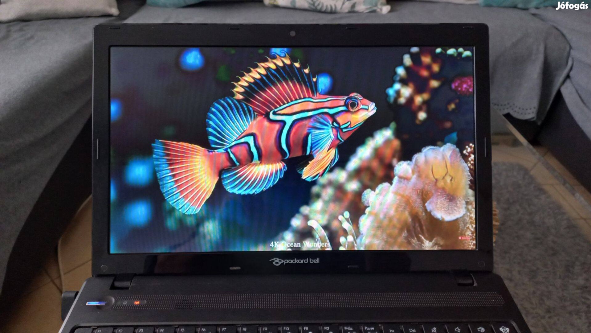 Packard Bell laptop