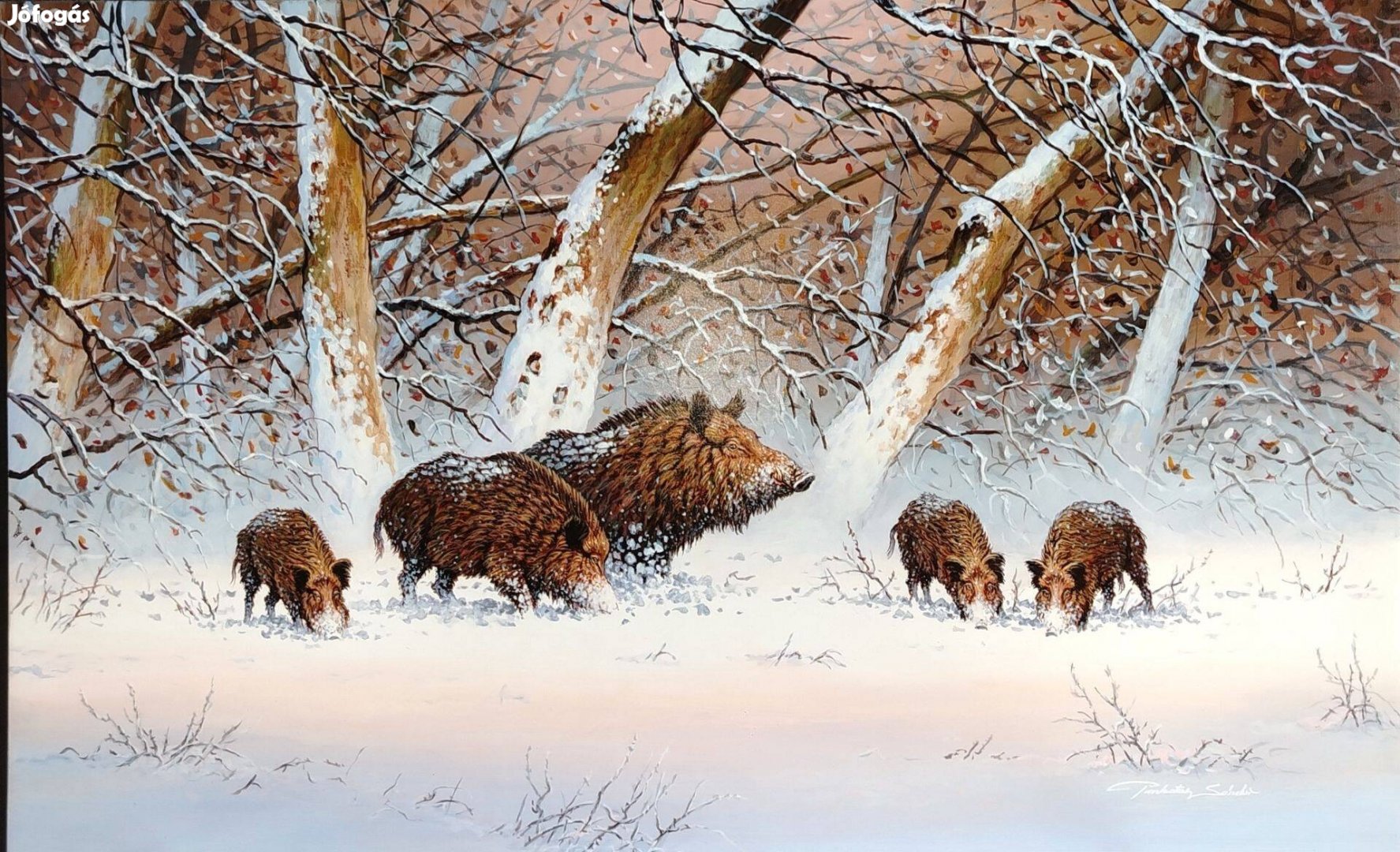 Pakotai Sándor festmény 50x80 cm