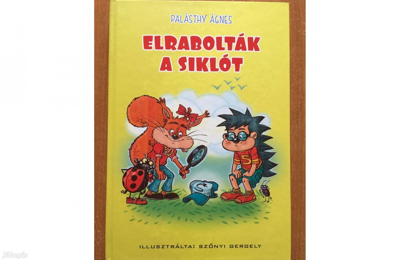 Palásthy Ágnes - Elrabolták a siklót