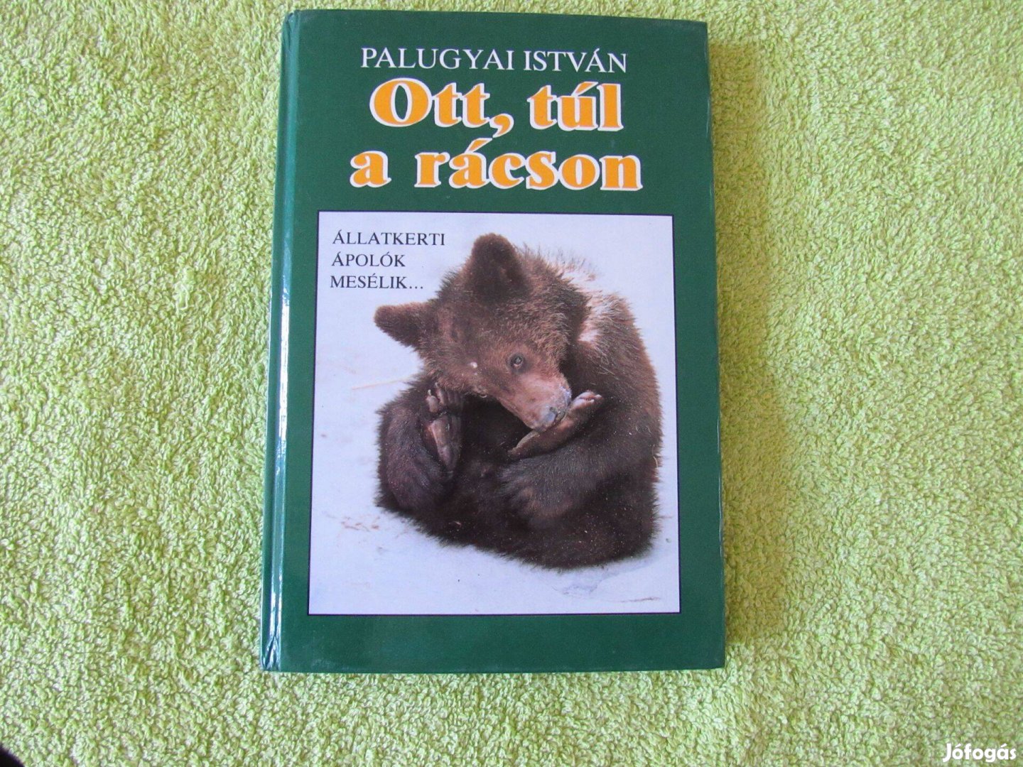 Palugyai István Ott túl a rácson