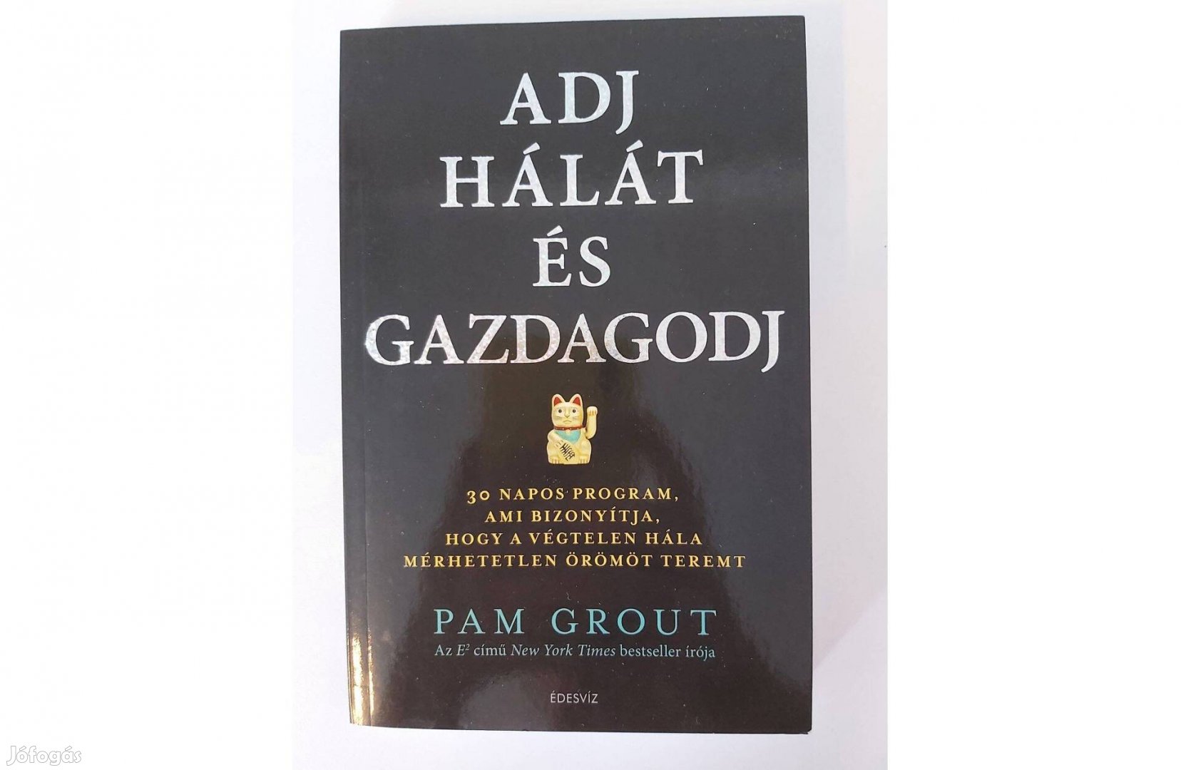 Pam Grout: Adj hálát és gazdagodj