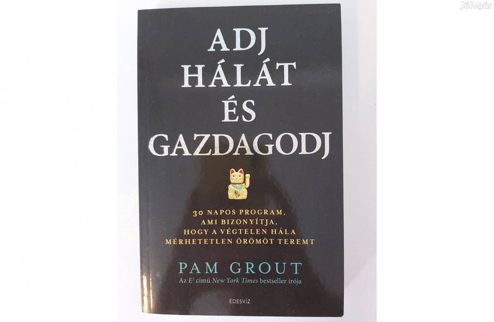 Pam Grout Adj hálát és gazdagodj